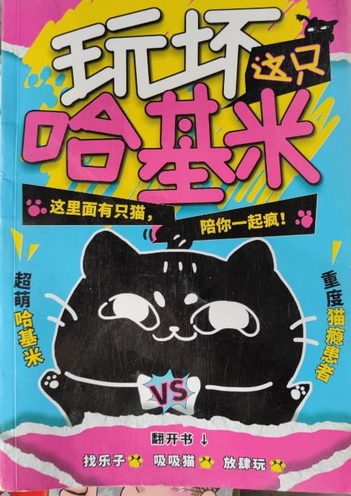 玩壞這只哈基米