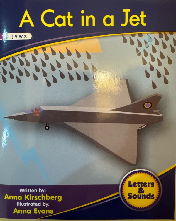 A Cat in a Jet