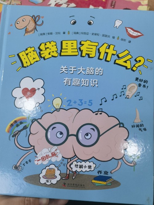 腦袋里有什么