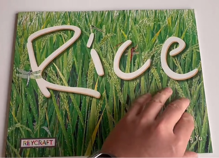 Rice
