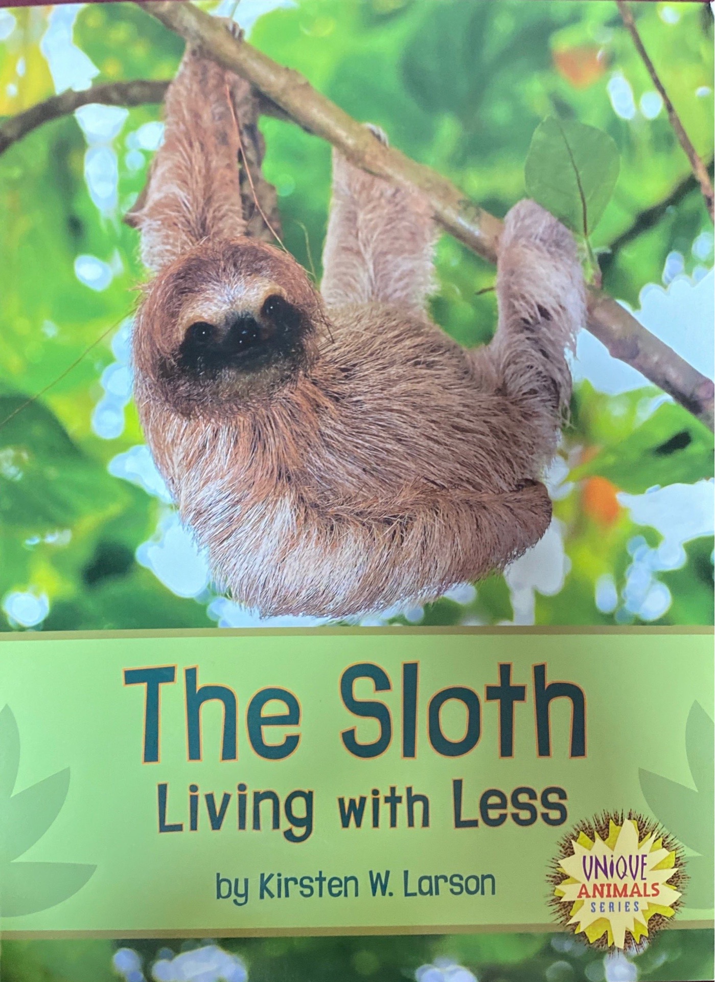 The sloth living with less