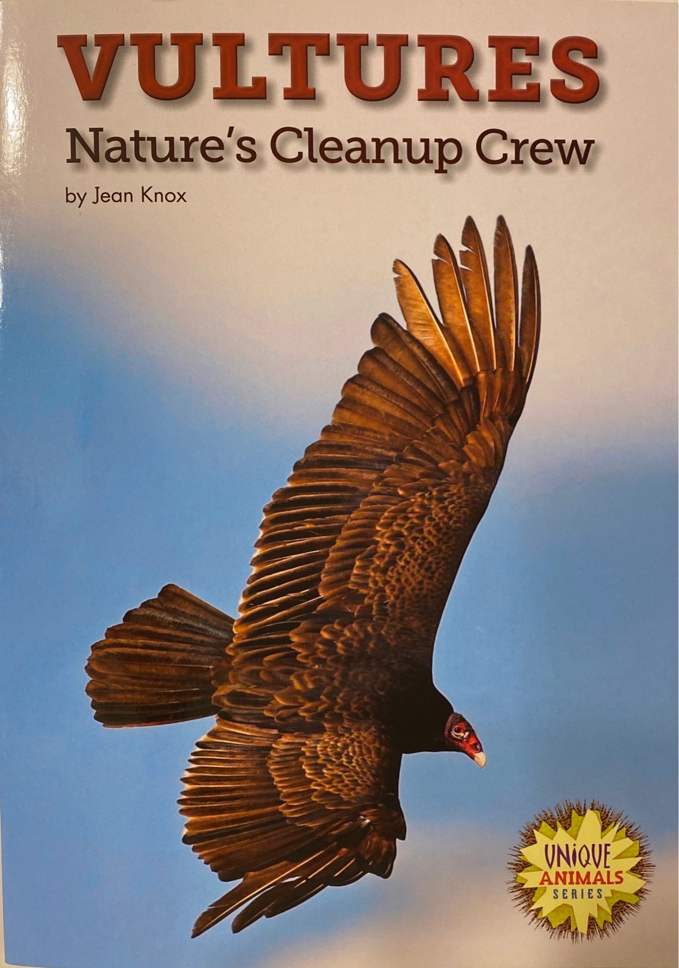 Vultures nature's cleanup crew