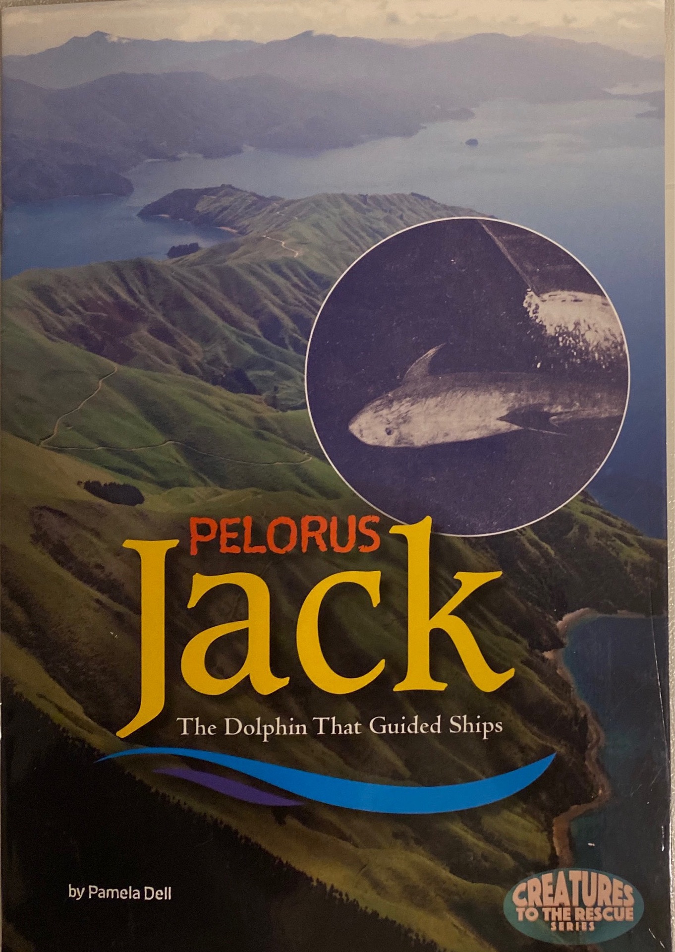 Pelorus Jack the Dolphin That Guided Ships