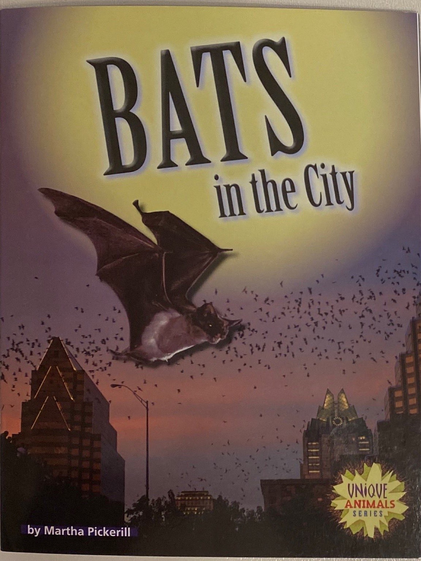 Bats in the City