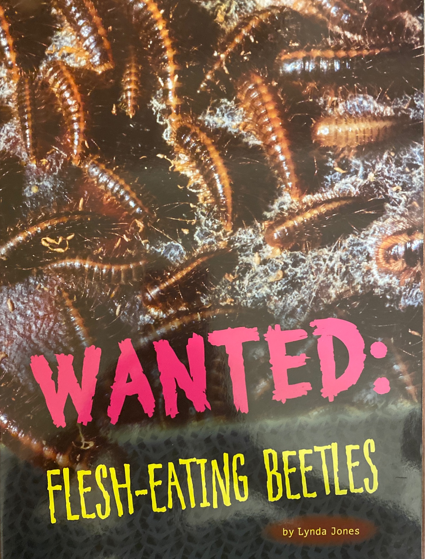 Wanted: Flesh-eating Beetles