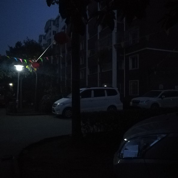 不裹挾，自引領(lǐng)。