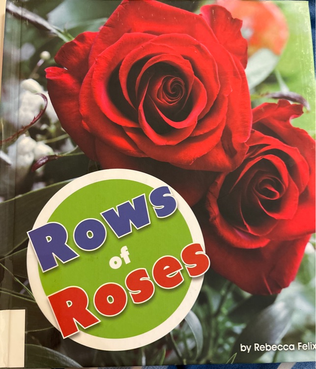 rows of roses