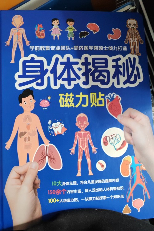 身體揭秘磁力貼
