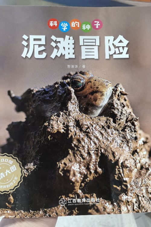 泥潭冒險
