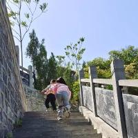 小雞崽