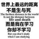 飯團(tuán)團(tuán)