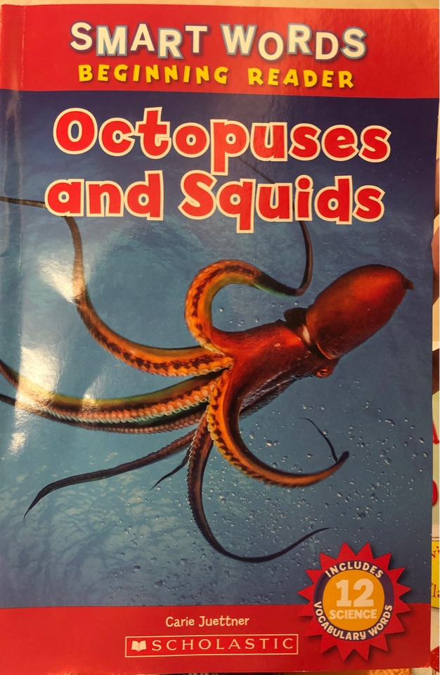 Octopuses and Squids