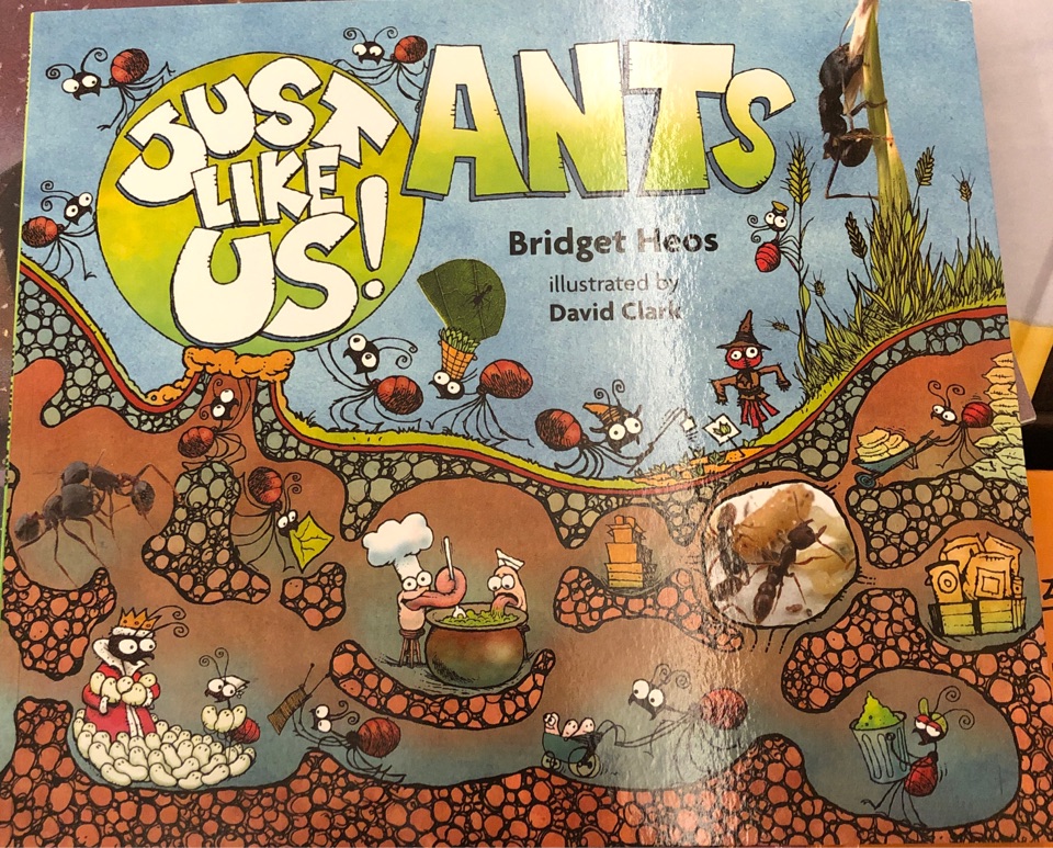 Just Like Us: Ants