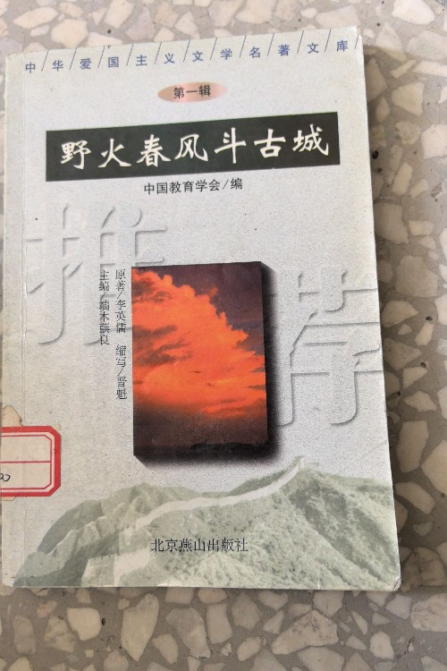 野花春風(fēng)斗古城