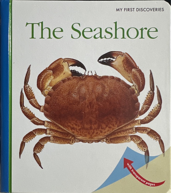 The Seashore