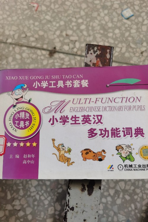 小學(xué)生英漢多功能詞典