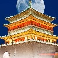 雪花女神龍
