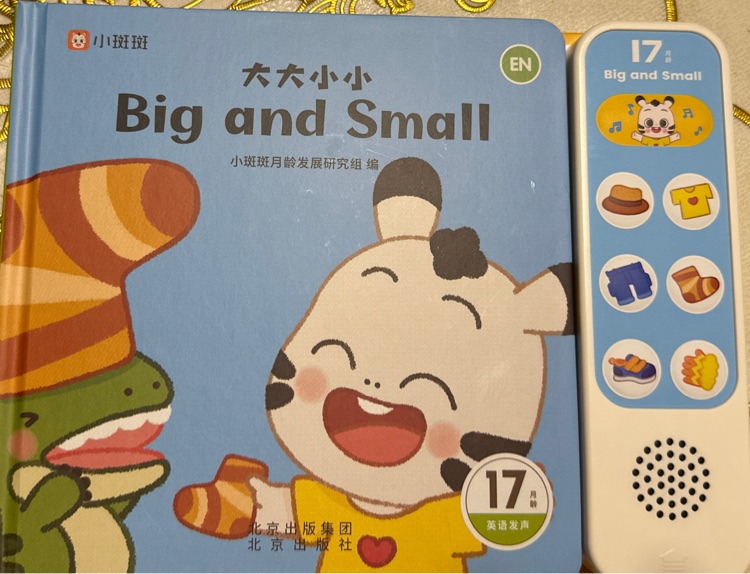 大大小小big and small-小斑斑月齡盒17月