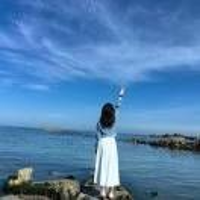 素色流年87932938