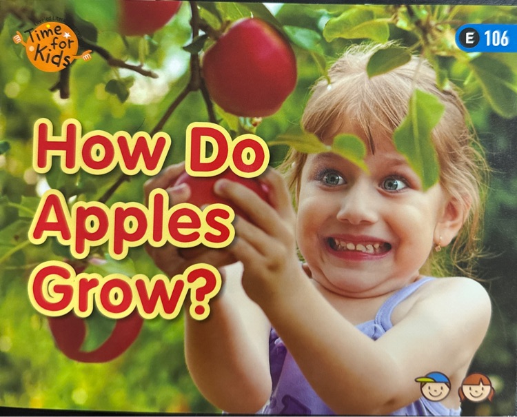 how do apples grow