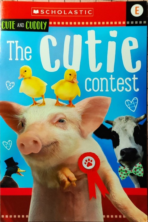 The cutie contest