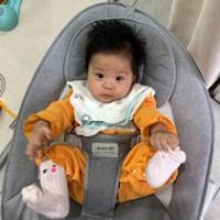 33只咩咩