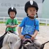 柳林風(fēng)聲