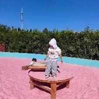 养乐多的图书馆