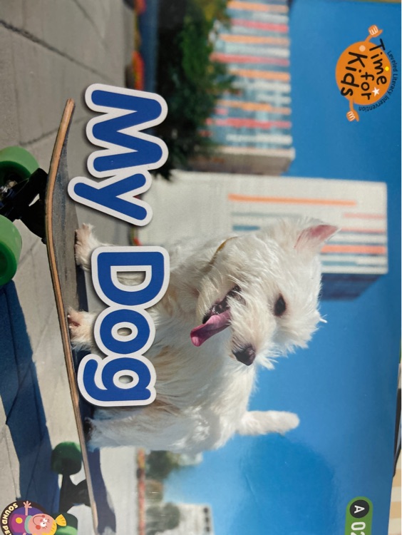 My dog