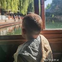 毛毛豆鼠