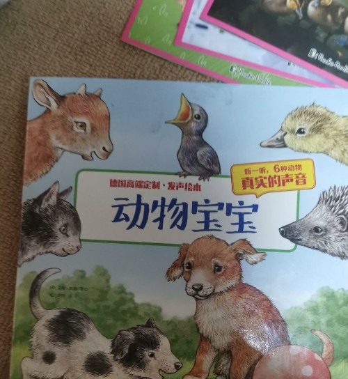 認(rèn)知啟蒙發(fā)聲繪本 《動(dòng)物園》