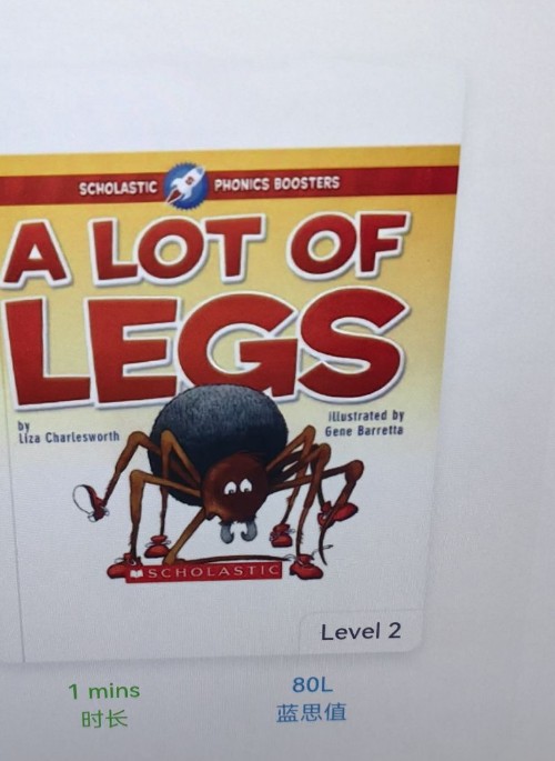 a lot of legs