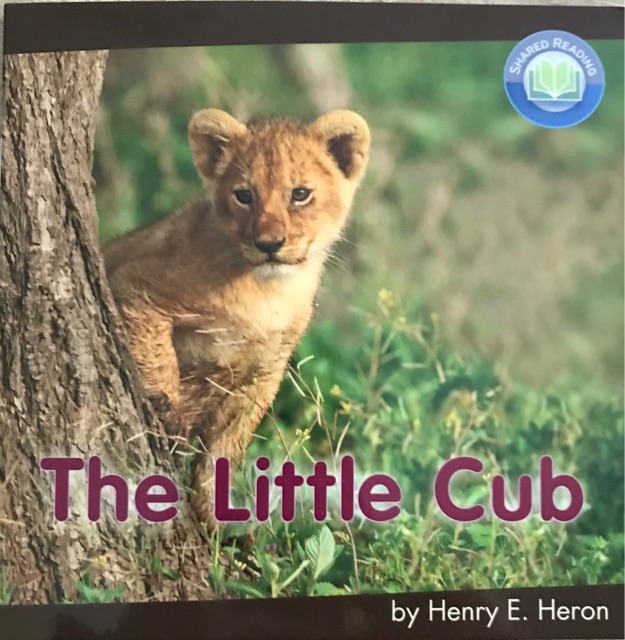 the little cub