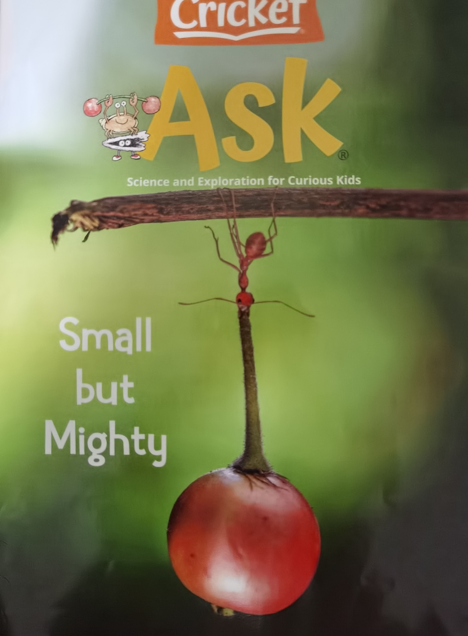 ask 2021 4 small but mighty