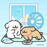 little cloudz