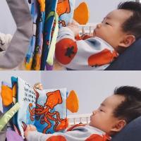 熙的小書(shū)柜
