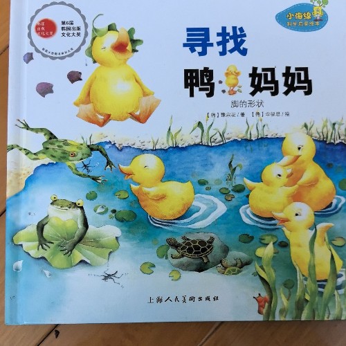 尋找鴨媽媽