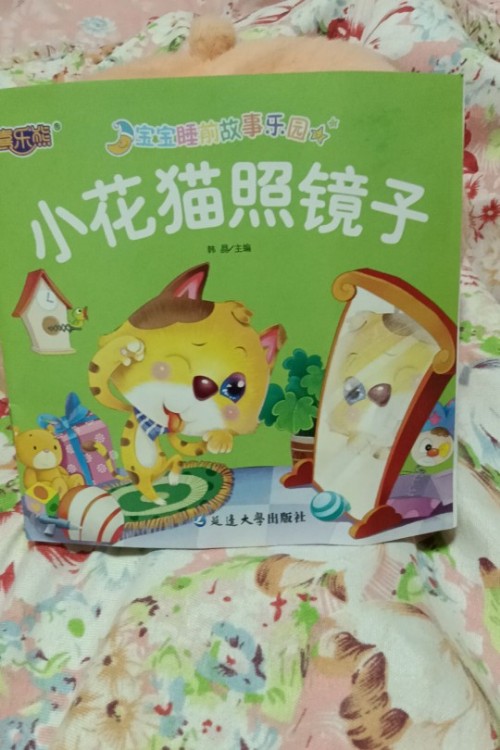 小花貓照鏡子