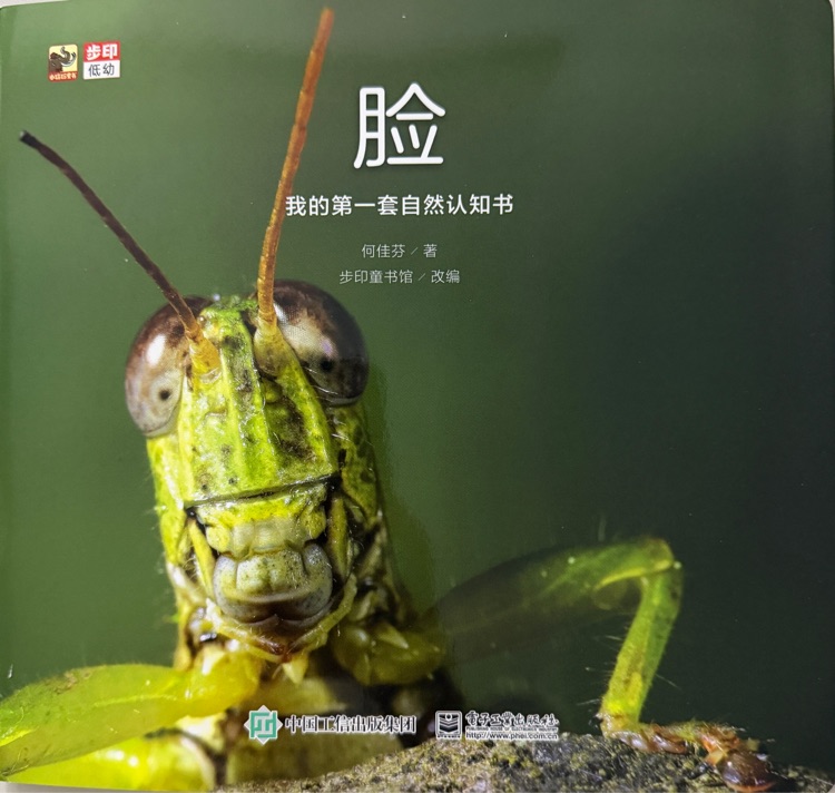 查看系列