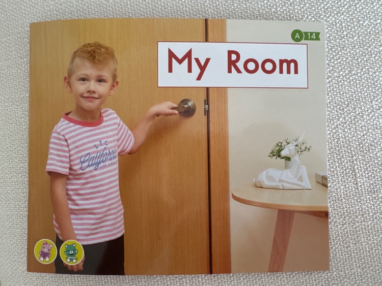 海尼曼GK14 My Room