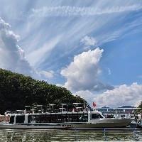 隨心隨意