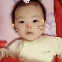 幸運草1972217315
