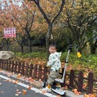 嘟嘟杜杜