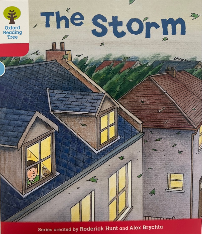 the storm