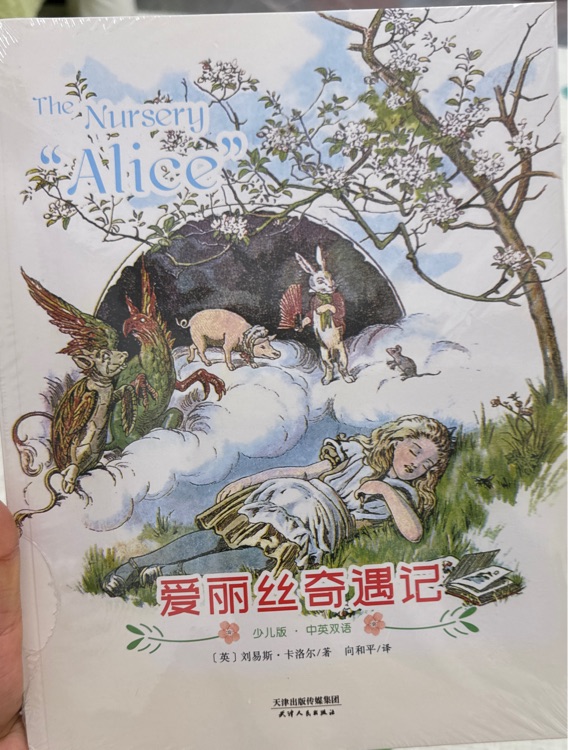 愛麗絲奇遇記