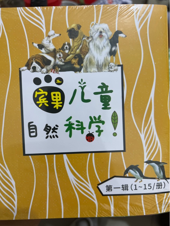 宾果儿童自然科学 第一辑