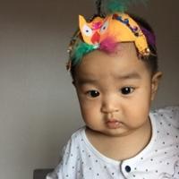 一只姚小鹿