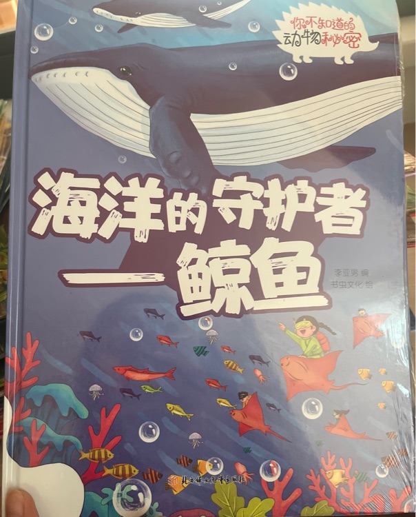 海洋的守護者——鯨魚