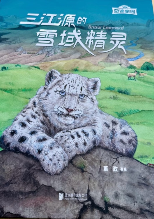 三江源的雪域精靈