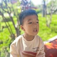 团团the calf